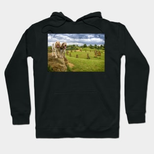Dogs on a Rock Spinoni Hoodie